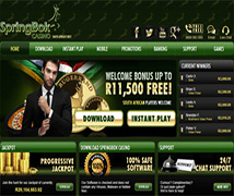 Screenshot of Springbok Casino